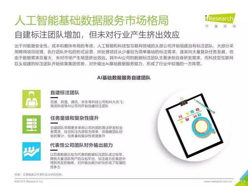 中國人工智能基礎(chǔ)數(shù)據(jù)服務(wù)行業(yè)報(bào)告 引領(lǐng)創(chuàng)新的人工智能基礎(chǔ)軟件開發(fā)