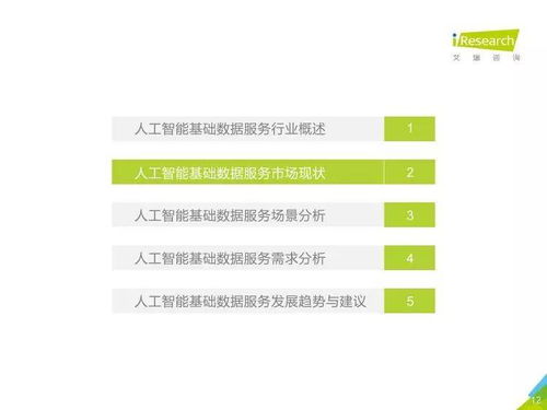 中國人工智能基礎(chǔ)數(shù)據(jù)服務(wù)行業(yè)報(bào)告——聚焦人工智能基礎(chǔ)軟件開發(fā)