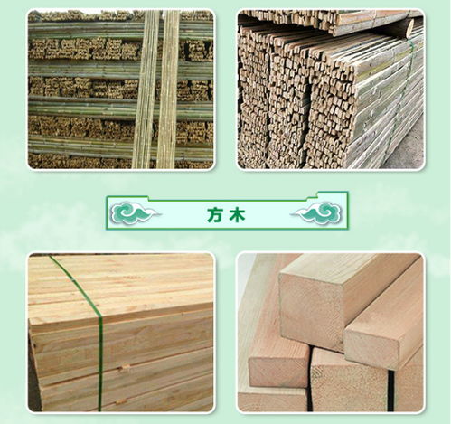 漯河竹笆生產(chǎn)廠家 圣卓建材以服務至上引領建筑建材行業(yè)